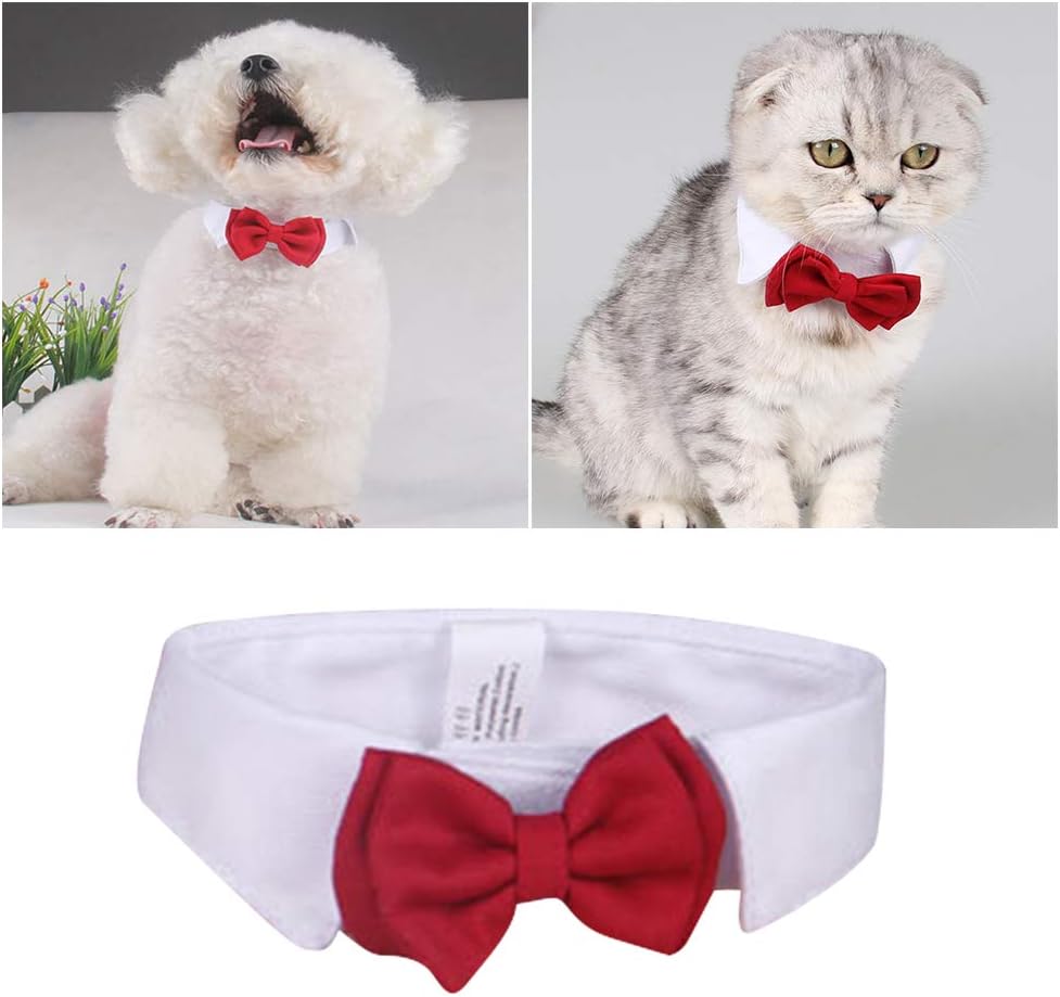 Red bow cat collar Outlet