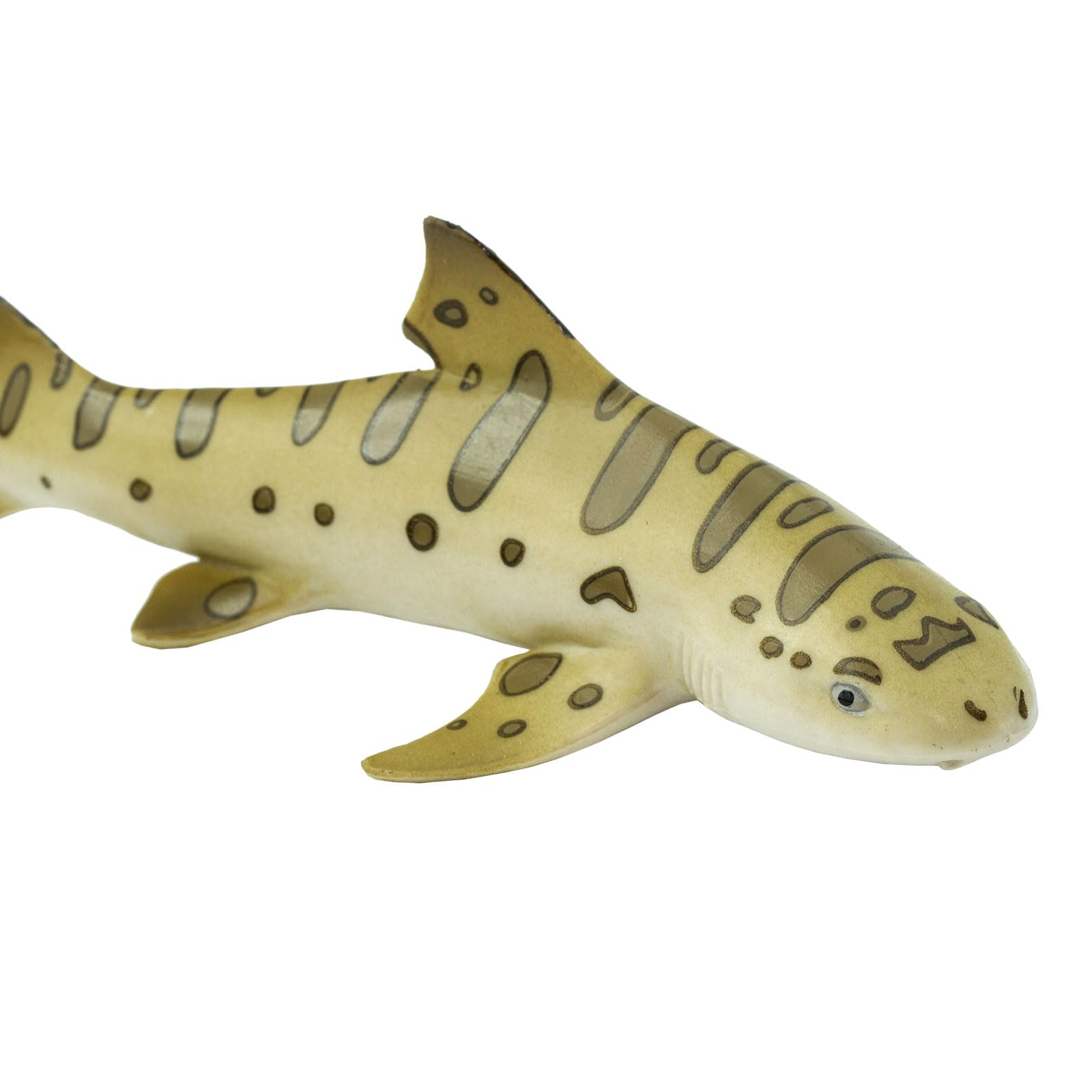 Amazon.co.jp: サファリ レプリカ カリフォルニアドチザメ
