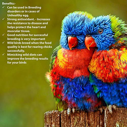 Image of Pet Care International (PCI) ImmuBoost || Provide Essential Vitamins || Healthy Bird Healthcare || 100ml