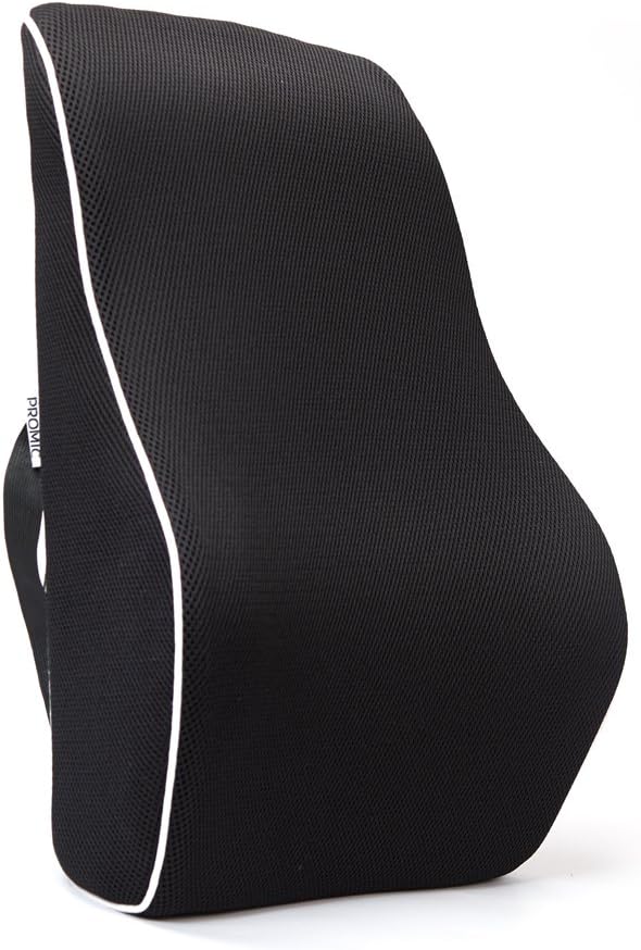 EPMIC Orthopedic Back Cushion, Memory Foam Lower Back Support Pad with Mesh Cover, Portable Ergonomic Lumbar Support Maternity Pillow, Reduce Back Ache and Improve Posture, for Travel, Office and Car