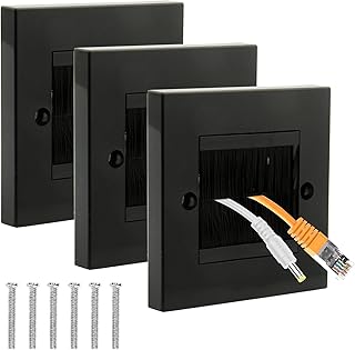 BIGTHREE 3 Pcs Brush Face Plate