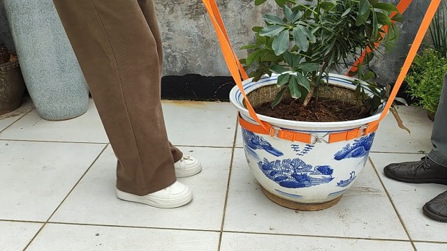 Elevador para Macetas BBpara, para mover plantas hasta 150 lb miniatura 7