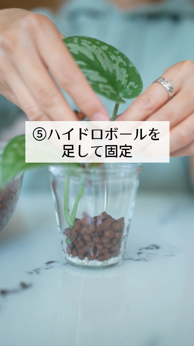 中粒ハイドロボール 40L 新品未開封 Amazon.co.jp: ハイドロボール （レカトン） 40L 中粒 : DIY