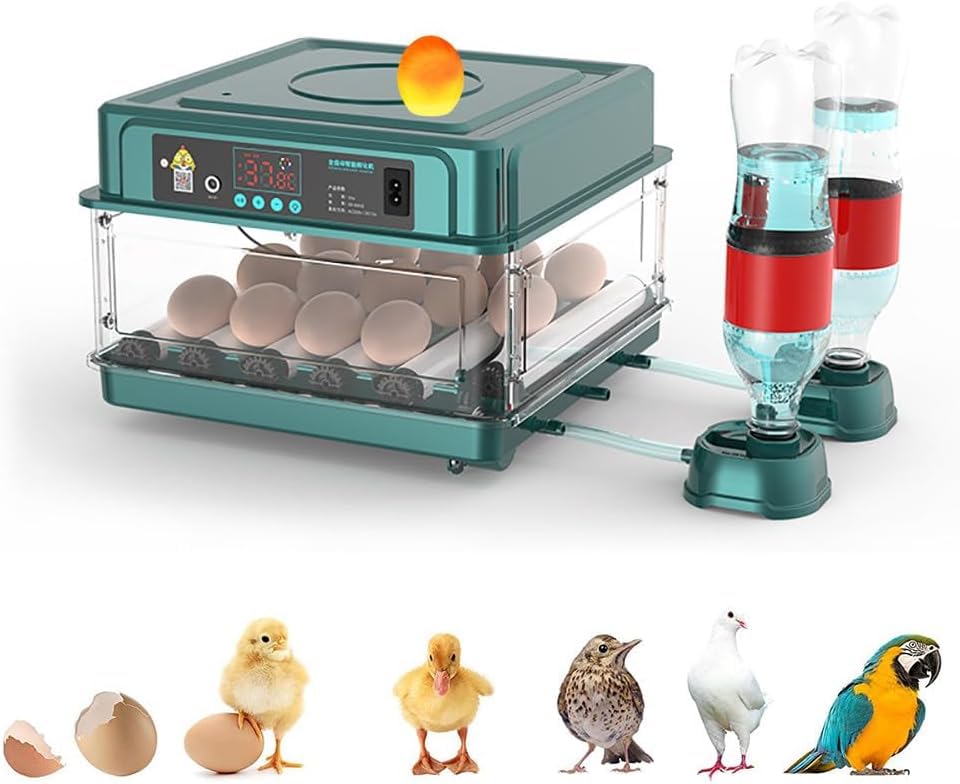 Incubateurs d'oeufs avec retourneur automatique et controle humidite 98 poule
