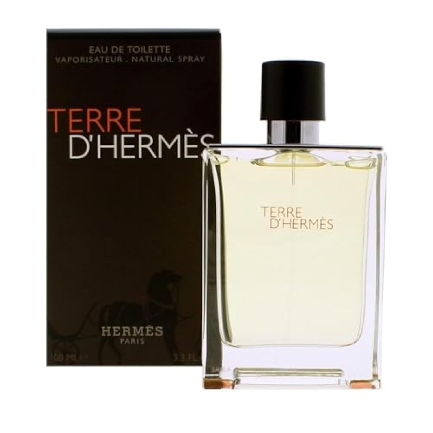 Hermes Men's Terre D Eau De Toilette (100ml)