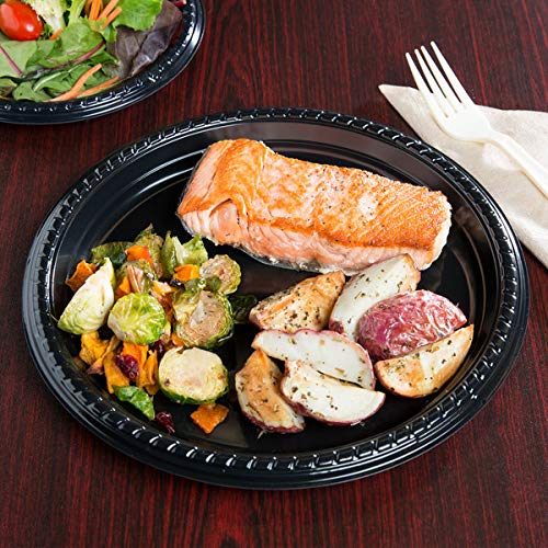 Dart Solo PS15E-0099 10 1/4