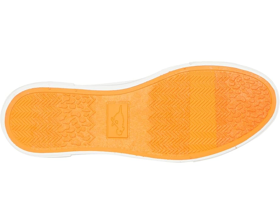 Rocket Dog Jokes - Bottom View