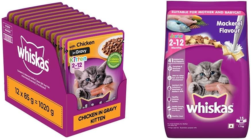 Whiskas Wet Food for Kittens (2-12 Months), Chicken in Gravy Flavour, 12 Pouches (12 x 85g) & Kitten (2-12 Months) Dry Cat Food, Mackerel Flavour, 1.1kg Pack