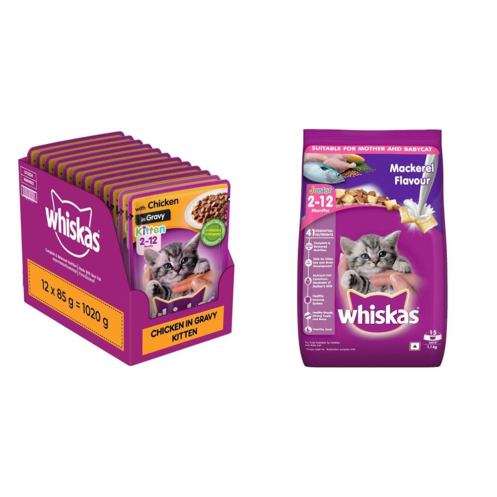 Whiskas Wet Food for Kittens (2-12 Months), Chicken in Gravy Flavour, 12 Pouches (12 x 85g) & Kitten (2-12 Months) Dry Cat Food, Mackerel Flavour, 1.1kg Pack
