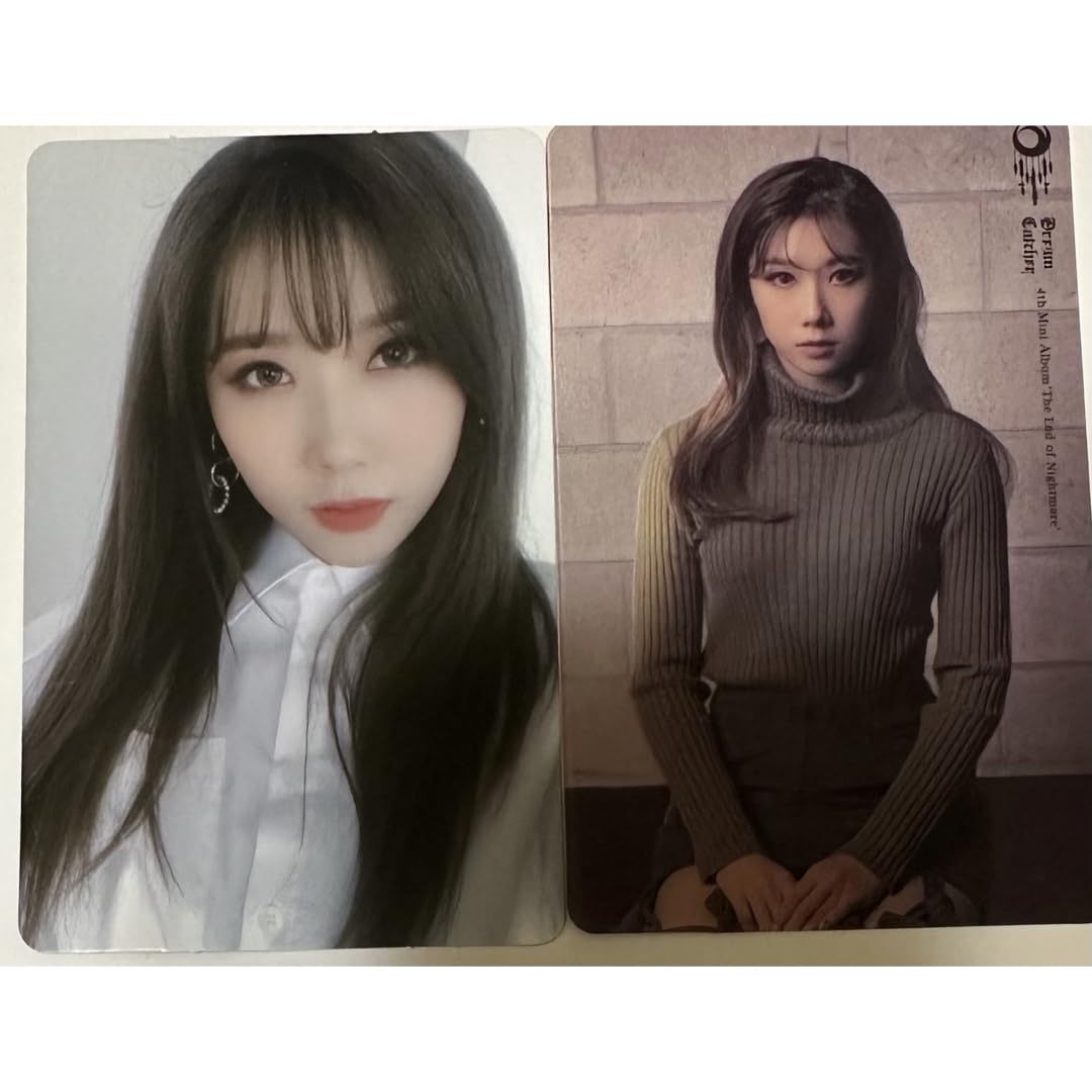 Amazon.co.jp: dreamcatcher ハンドン ブロマイド : おもちゃ