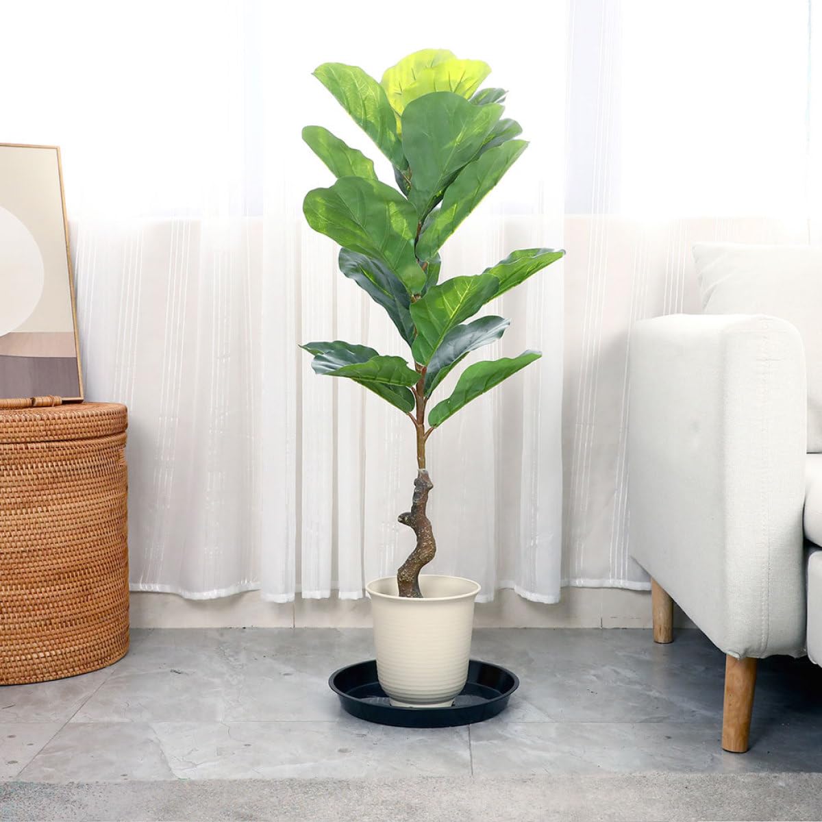 Totority Base per Vaso da Fiori Rotonda in Plastica Nera, Set da 10 Pezzi di Vassoi per Raccolta Acqua, Accessori da Giardinaggio per Piante da Interno e Balcone