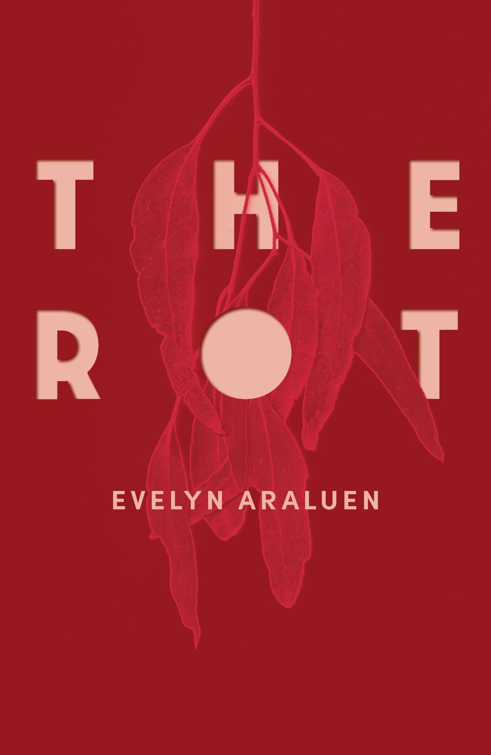The Rot: Longlisted for the 2026 Stella Prize