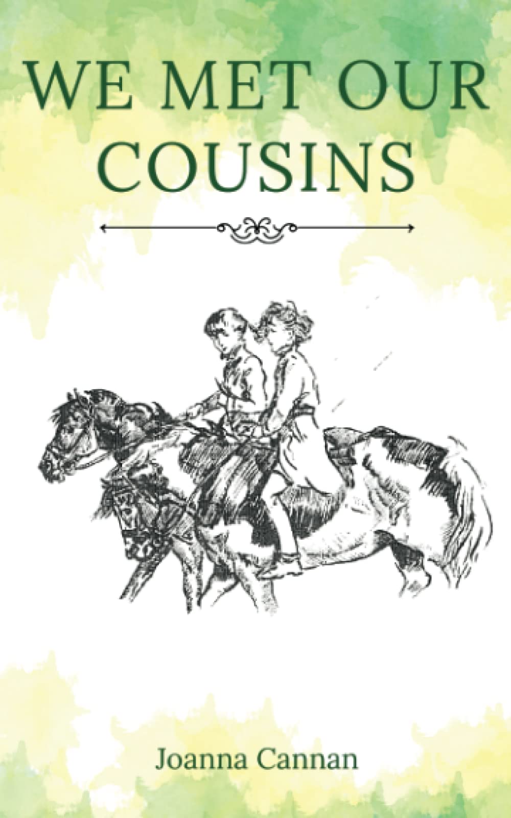 We Met Our Cousins: 1 (The Cousins Series)