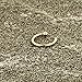 Body Candy Tiny Nose Ring Hoop 20 Gauge 1/4