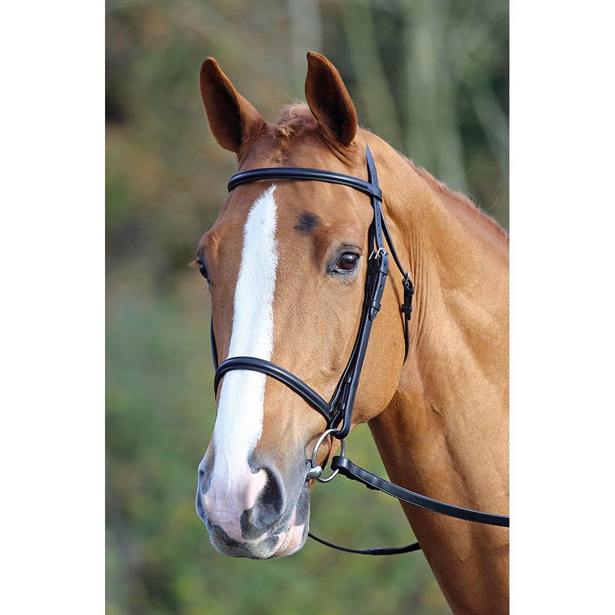 Shires AVIEMORE Billets Hanno-Gancio per briglie, a Bottone, con utensileria in Acciaio Inox