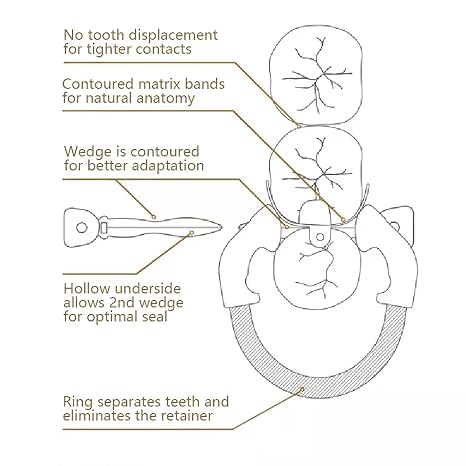 Dental Sectional Matrix System kit, Include Matrices Tweezer Forceps, W5 Dental Wedges Plastic, C2 Set for Orthodontics and Dental Restorations