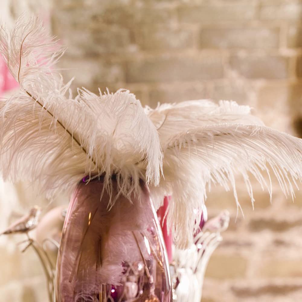 12 piume di struzzo naturale 25-30 cm, per decorazioni fai da te Gatsby, matrimoni, feste in maschera (12 colori