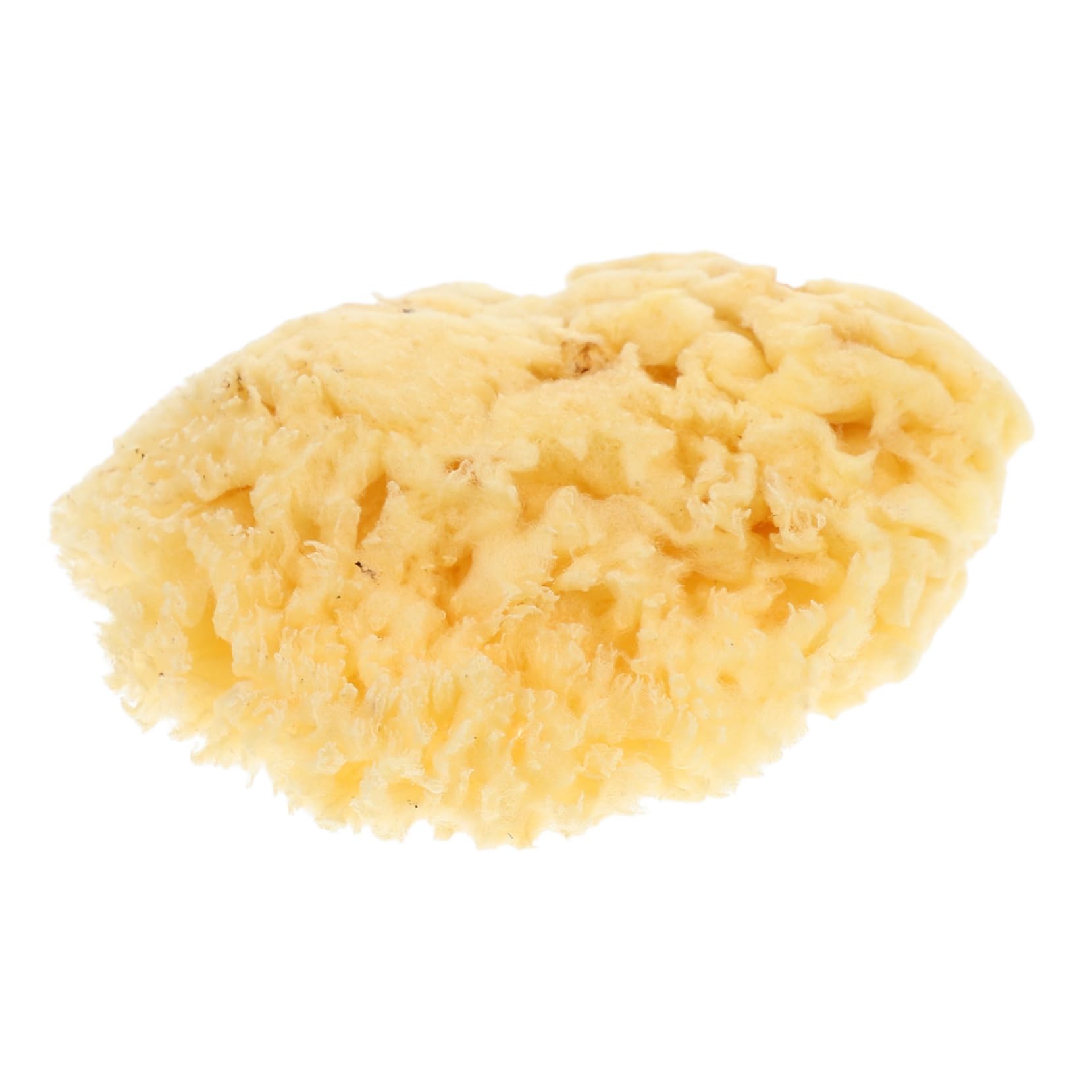 OSALADI Art Sponge for Watercolor Natural Sea Sponge Strong Absorption for Face Painting Wall Design and Craft Projects Easy to Clean and Reuse