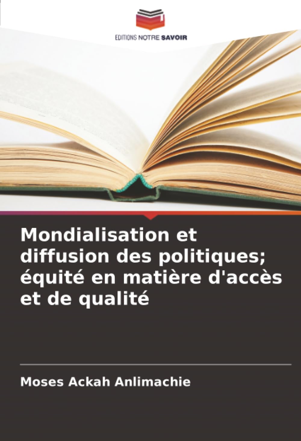Mondialisation et diffusion des politiques; équité en matière d'accès et de qualité