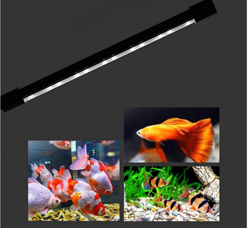 Clip-Lichter Klemmlampe Klemmleuchte Clip Schreibtischlampe USB-Aquarium-Beleuchtungs-Clip-Licht-Led-Aquatic Light Echt-Tank-Fülllicht-Dreifarbig Einstellbar (Weißes Hellblau)