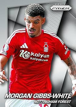 Amazon.com: 2024-25 Panini Prizm Premier League Soccer Hobby