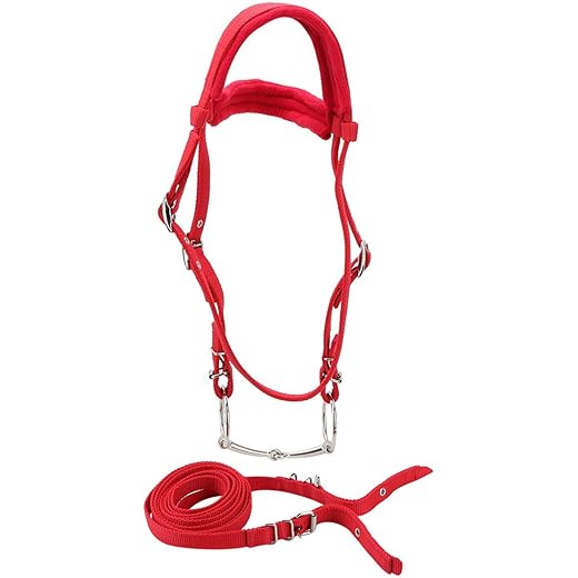 Horse Bridle + Harness, Durable