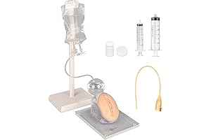 Catheter Insertion Simulator Set | Realistic Hospital Training Model for Nurses and Medical Students