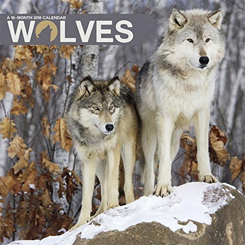 Wolves  2018 Wall Calendar