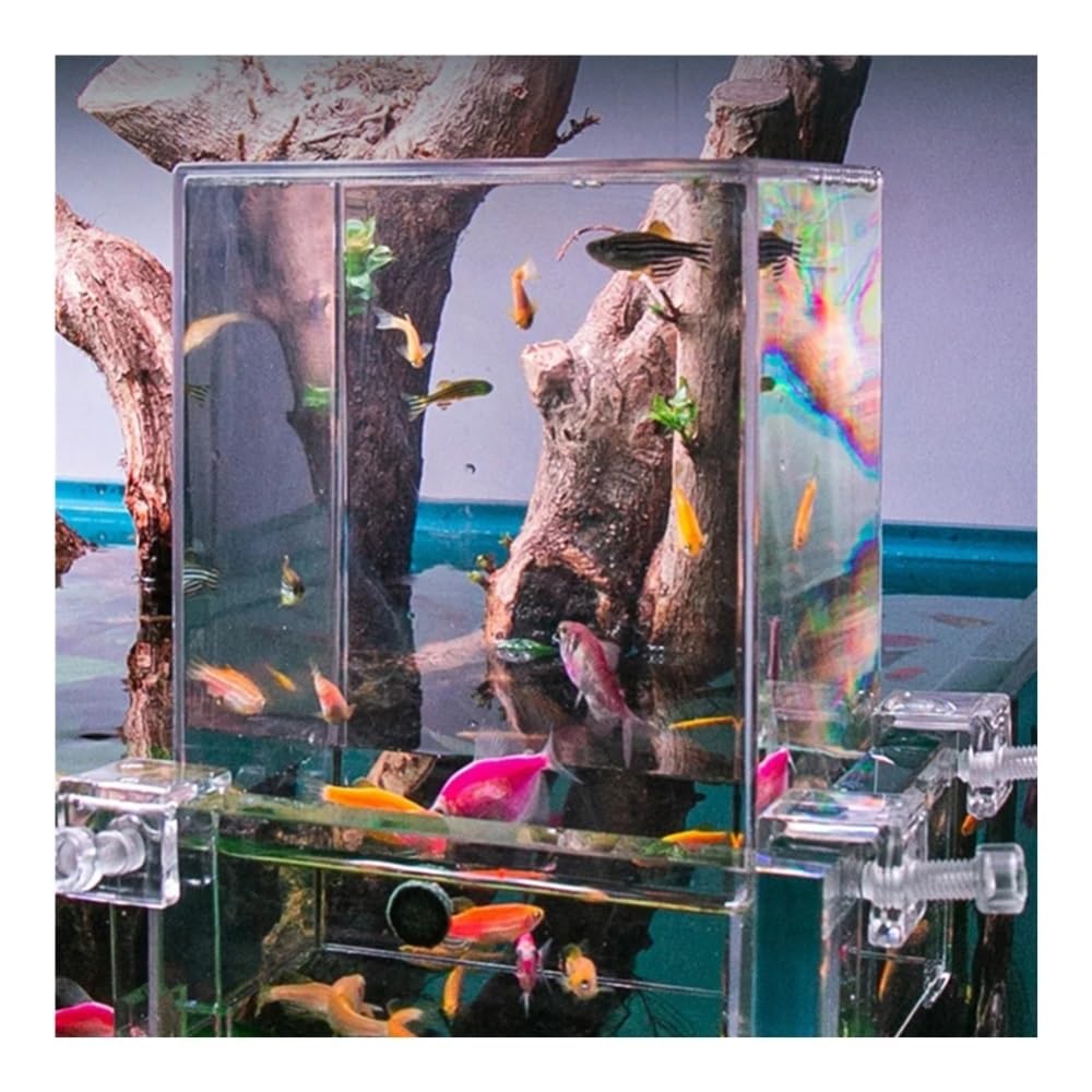 Aquarium Innovation for Aquarien mit Unterdruck: Rechteckiges, ökologisches Tisch-Aquarium aus klarem Acryl, HD-Qualität