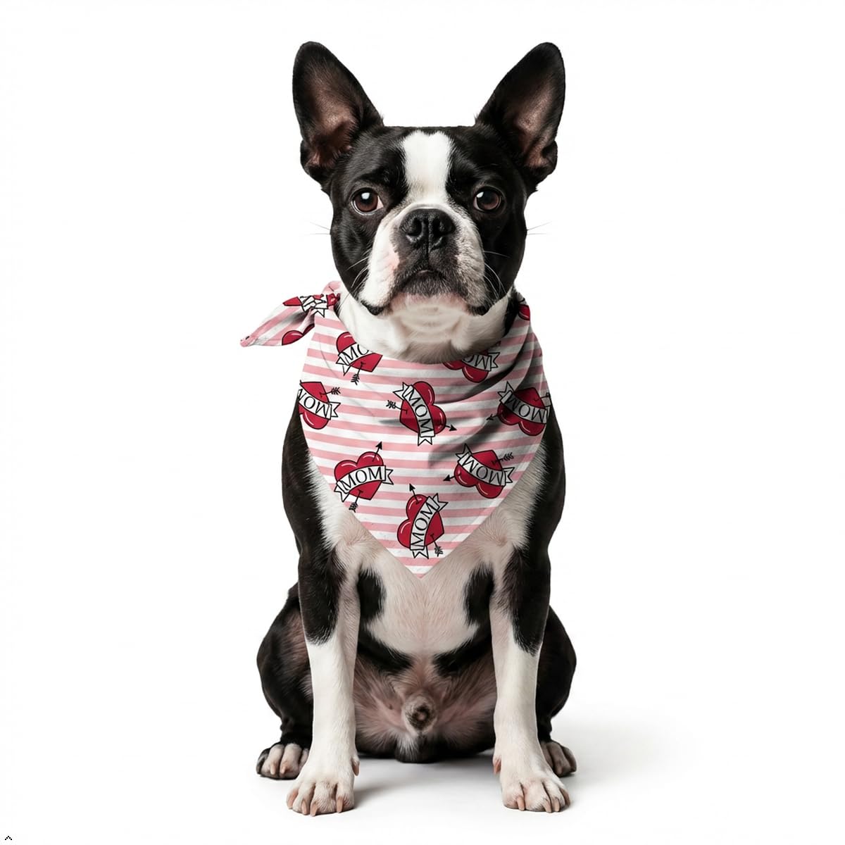 Dog Bandana for Small, Medium & Large Dogs | Premium Cotton Blend Tie-On Bandana | Soft, Washable & Comfortable Pet Neck Scarf | Stylish Dog Accessory
