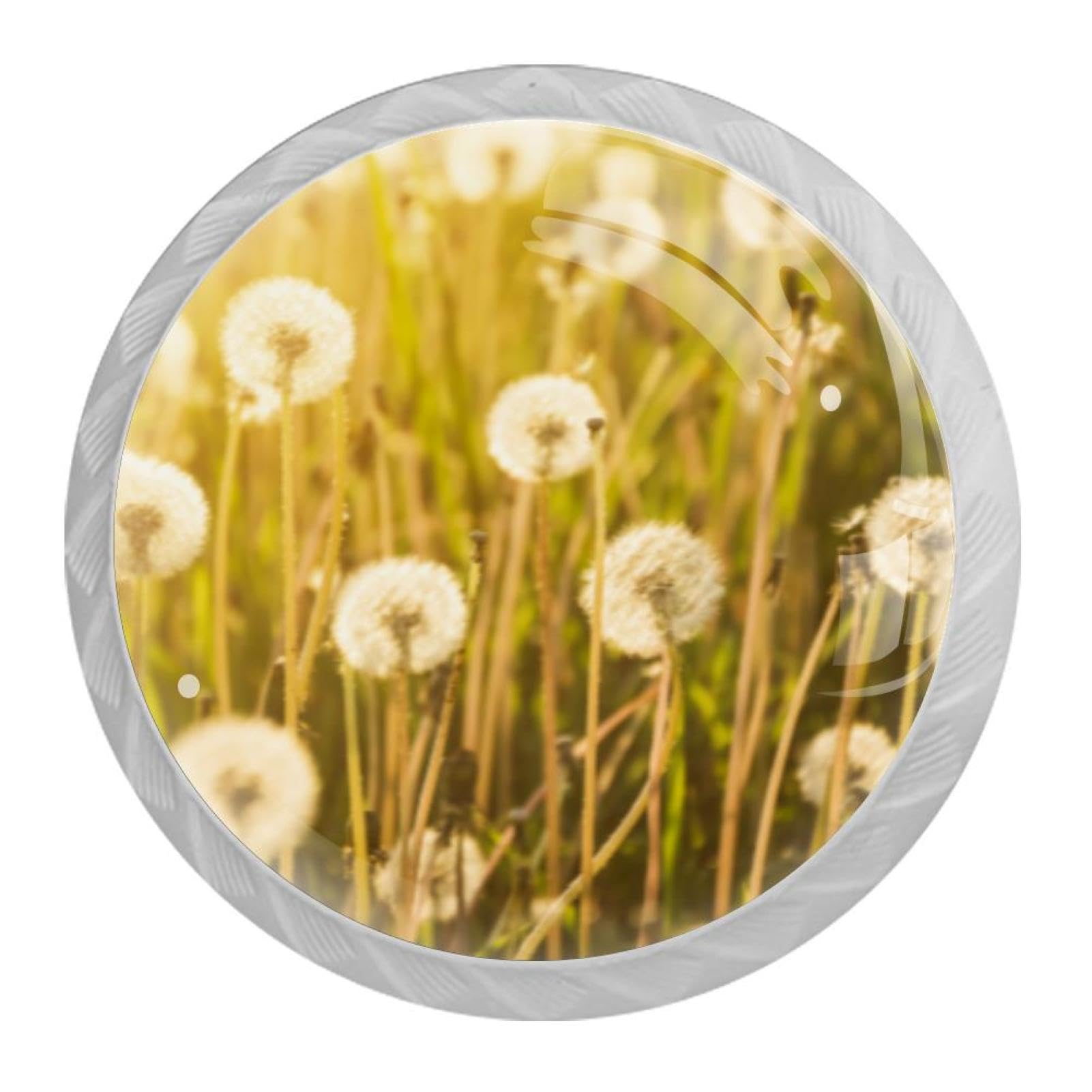 Tqmspg Multi04 4 Pieces Drawer Pulls Dandelion Sunshine Landscape Door Knobs Dresser Handles For Kitchen Wardrobe Cupboard Hardware Furniture