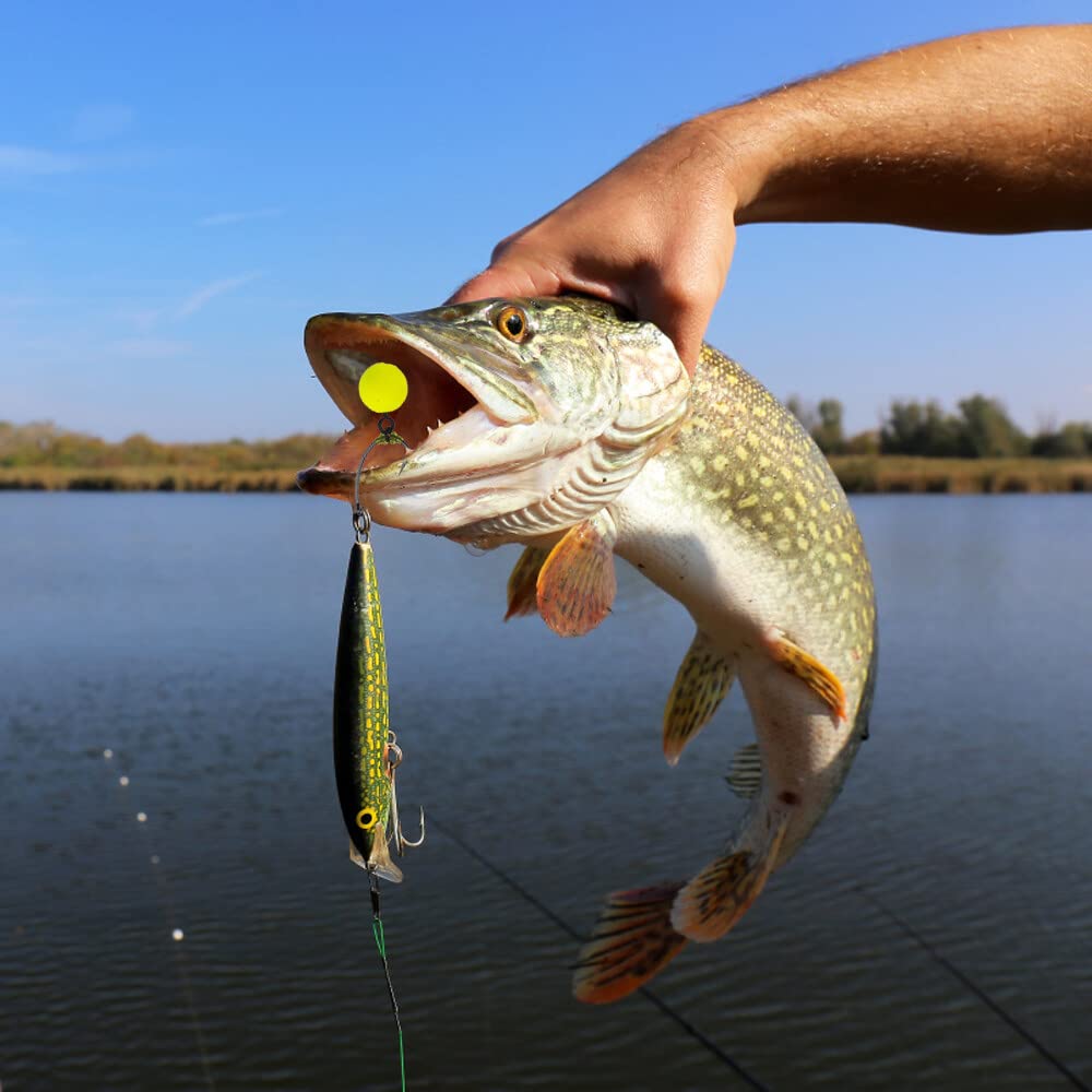 Juego de 170 tornillos de pesca para pesca de carpa accesorios, 50 tornillos de pesca, gancho de tornillo de tornillo y 120 piezas topes gancho gancho gancho cebo para pesca de carpas