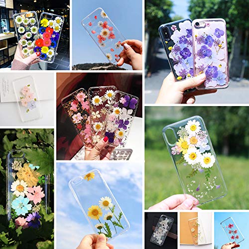 image for Purple 51pcs Real Dried Pressed Flowers Leaves Petals,Josisi Colorful 