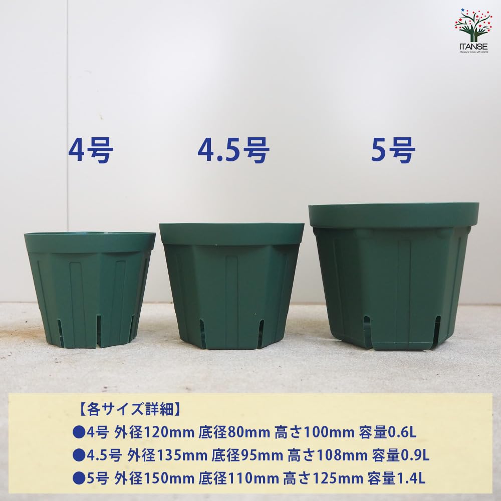 Amazon.co.jp: ITANSE スリット鉢 4・4.5・5号 各1個 計3個