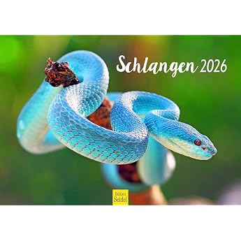 Edition Seidel Premium Kalender Schlangen 2026 Format DIN A3 Wandkalender Tierkalender Schlange Reptilien Schuppenkriechtier