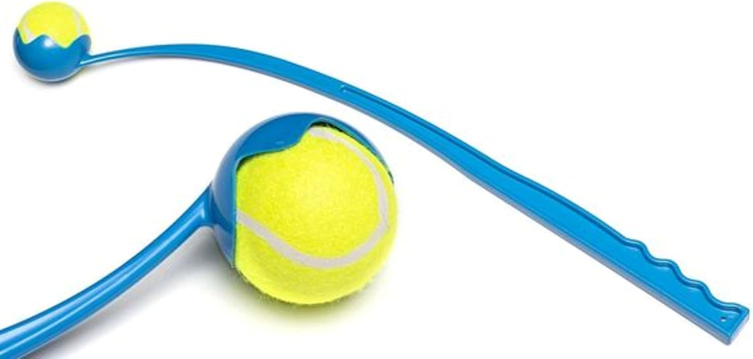 ball throwing toy