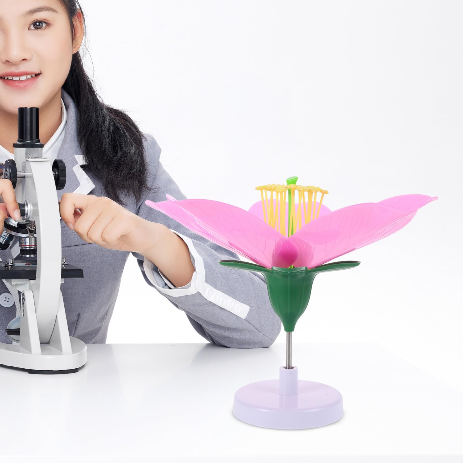 SOLUSTRE Pfirsichblütenmodell Biologie Lehrmittel Realistisch Vergrößert Lehrmaterial Unterrichtsmaterial Für Schüler