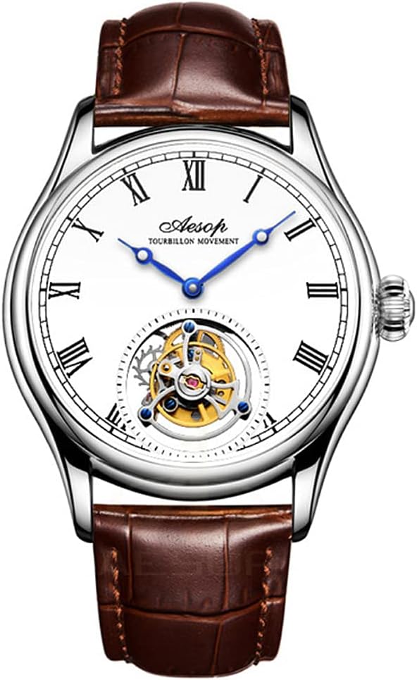 Men Mechanical Tourbillon Watches Hand Wind Sapphire Stainless Steel Skeleton Wrist Watches 50M Waterproof Luxury Business Watch with Genuine Leather Strap