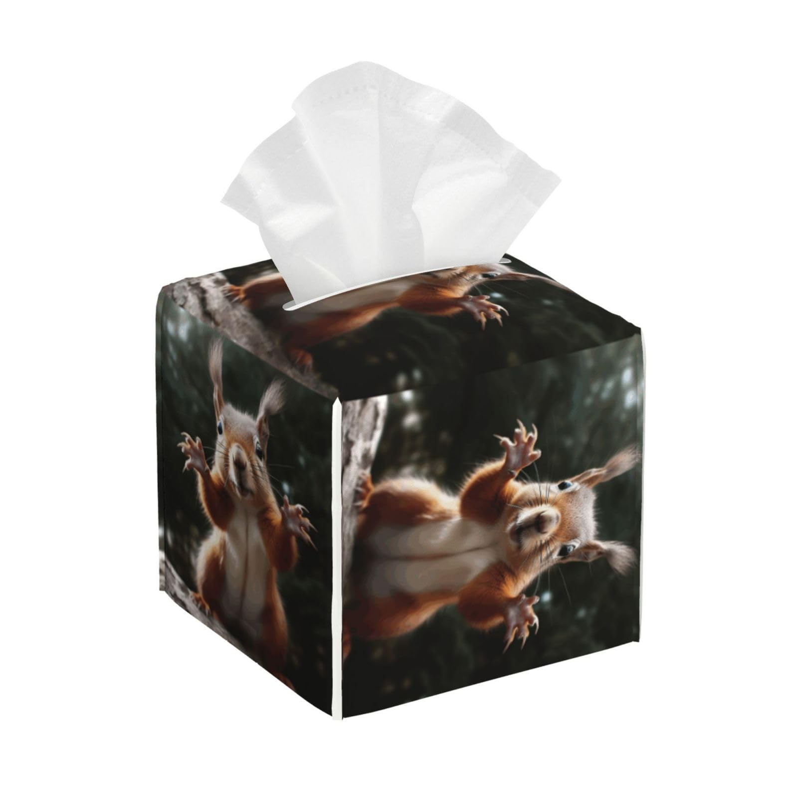Squirrel Funny Animal Tissue Box Cover Square Cube Boxes