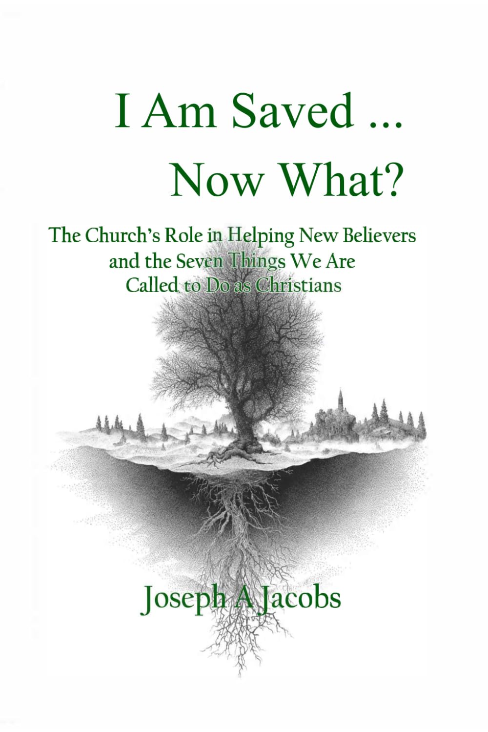 I Am Saved… Now What?: The Church’s Role in Helping New Believers and the Seven Things We Are Called to Do as Christians