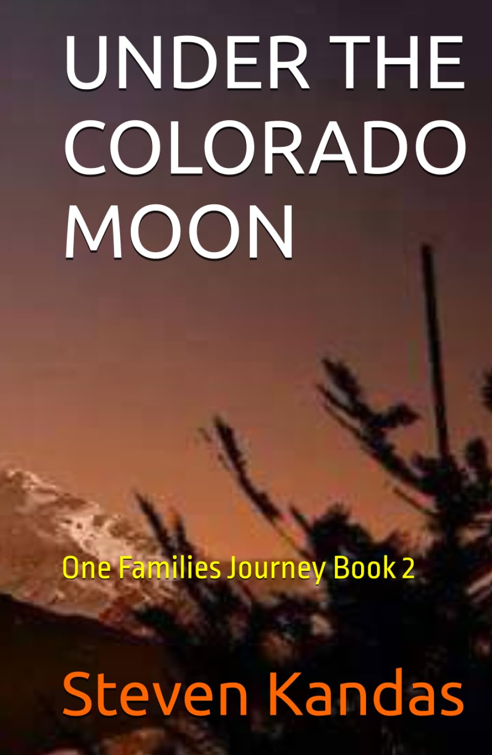 UNDER THE COLORADO MOON: One Families Journey Book 2