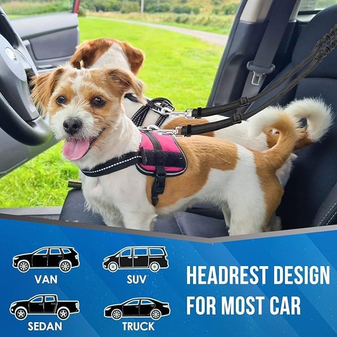 KUTKUT Double Dog Seat Belt, Dual Pet Car Headrest Restraint Safety Seatbelt No Tangle Dog Leash Duty Adjust Elastic Bungee Lead Splitter Connect Harness In Vehicle Travel For 2 Dogs (Black),75 cm 2