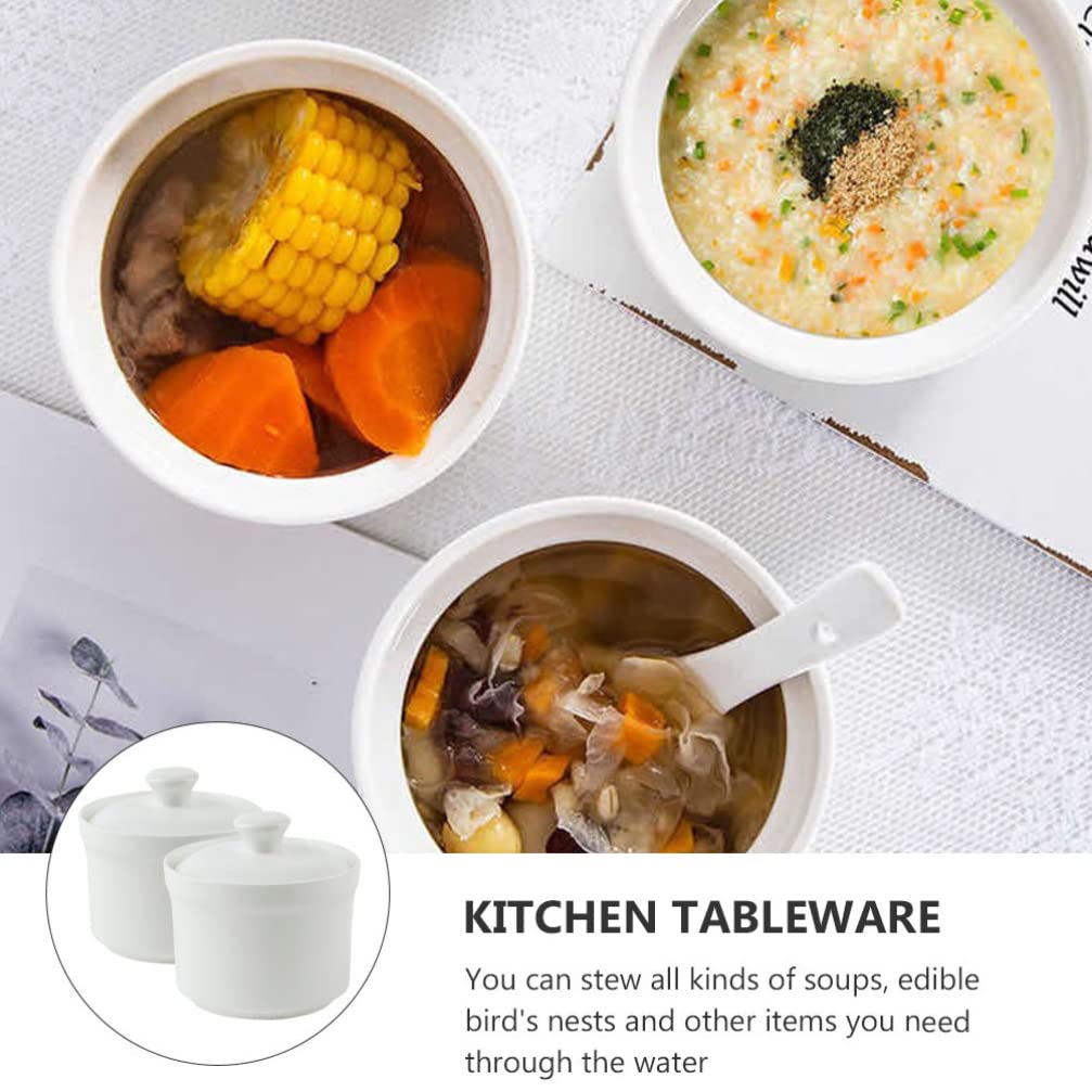 2 Stück Keramik-Eintopf mit Deckel, Dampf-Suppenschüssel, Eierpudding-Schüssel, Servier-Rührschüssel, Dampfbecher, Backgeschirr, Auflauf, Kochgeschirr für Suppe, Nudeln, Reis,