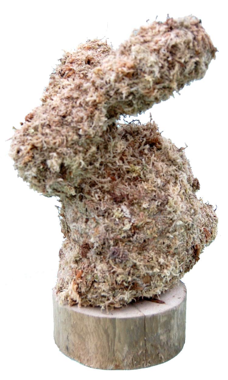 Rabbit Topiary Shagnum Moss Form
