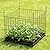 Garden Wire Compost Bin 30x30x24 inches, Black, Garden Bed Fencing