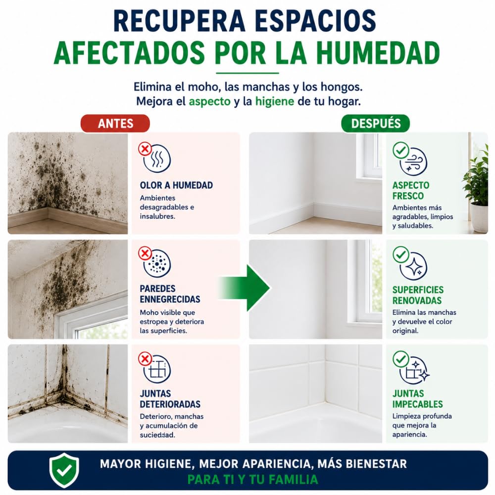 Limpiador de moho, musgo, humedades y hongos, elimina manchas de paredes, techos, azulejos y superficies, apto para superficies delicadas y duras, Lamparas de Mondo