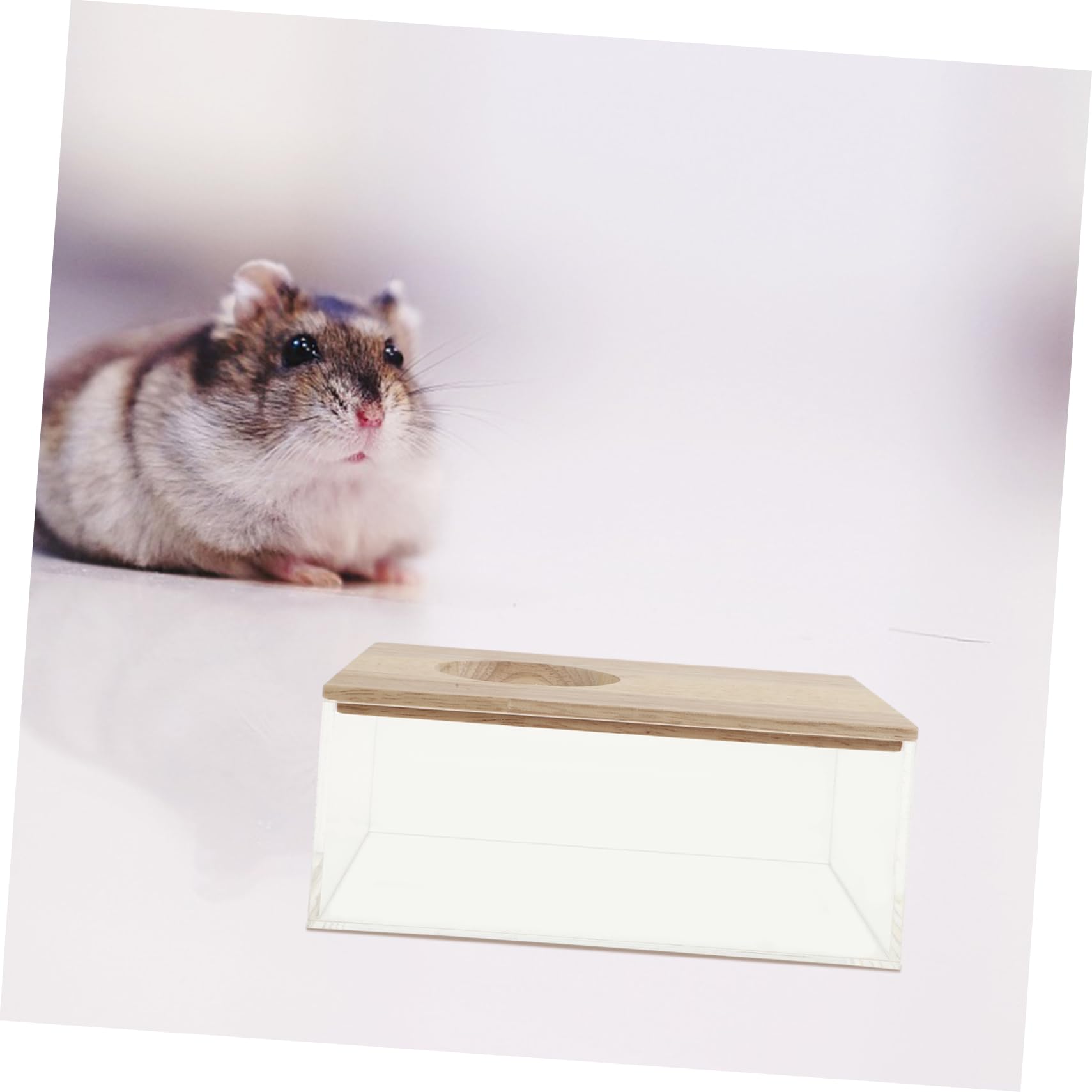 TOYANDONA Transparente aus Acryl und Holz mit Glatter Oberfläche und Leichtem Design Hamsterbadewanne für Kleintiere im Heimtierladen und Zuhause