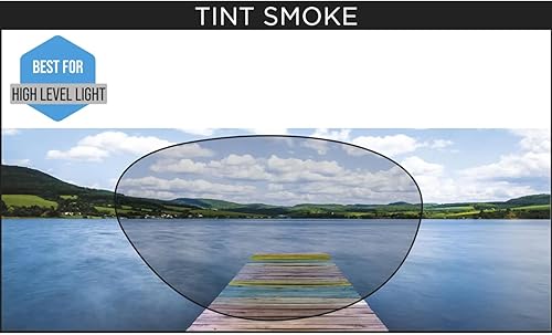 Miniatura 6 de Zoggs Gafas de natación ajustables unisex para adultos, con cómoda junta ultra ajustada y lentes curvadas con protección UV antivaho