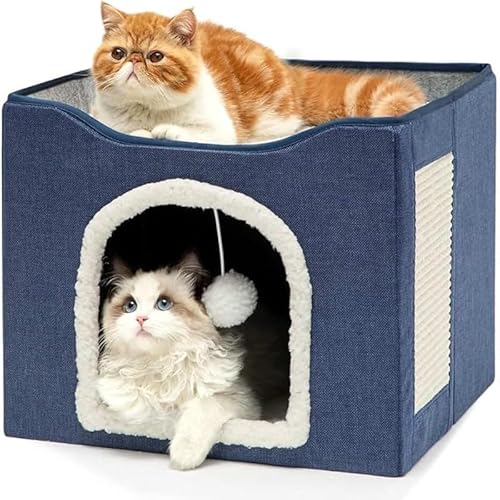 KryZaroLnEX w t ܂݉ 􂦂 sN qLE^Lp ʔNK