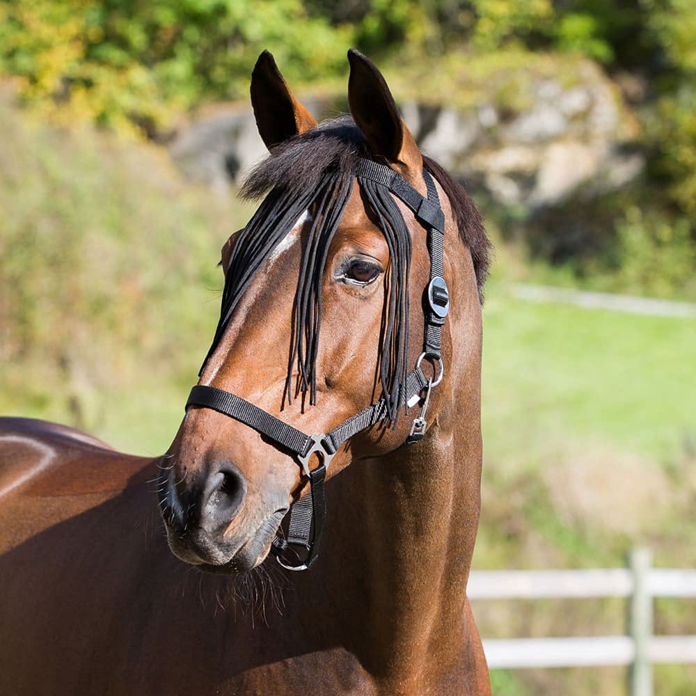 Horze Pferde Fliegenfransen, Fliegenschutz für Pferd und Pony, Schwarz, F